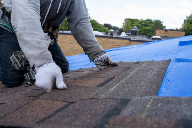 Quick and Trustworthy Emergency Roof Repair Services in Sussex, WI